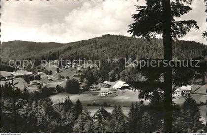 Hinterzarten