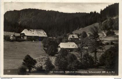 Hinterzarten, Der malerische Kesslerhof