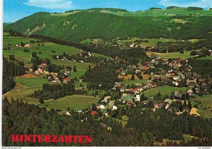 Hinterzarten Fliegeraufnahme