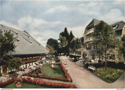 Hinterzarten, Hotel Adler