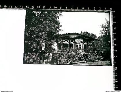 31005790 - Hitzacker Elbe