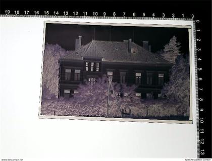 31005798 - Hitzacker Elbe