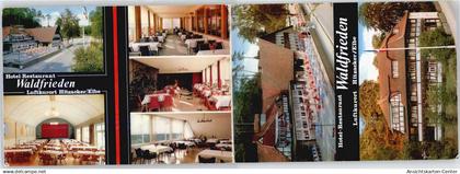 51010174 - Hitzacker (Elbe)