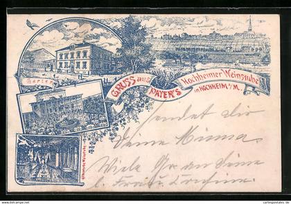 Lithographie Hochheim /Main, Payer`s Weinstube, Totalansicht