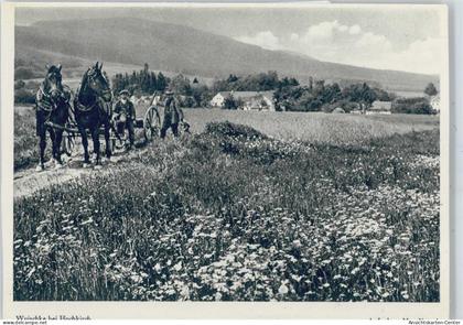 50418965 - Hochkirch