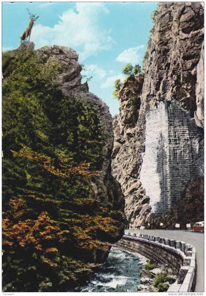 cp , ALLEMAGNE , HÖLLENTAL , Forêt de Schawarzwald
