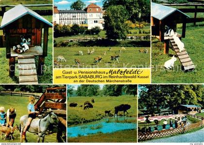 Hofgeismar Pension Malzfeldt