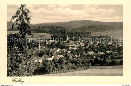 Treuchtlingen Gesamtansicht