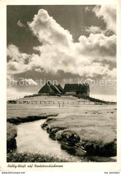 Halligen Nordsee Warft Gehoeft