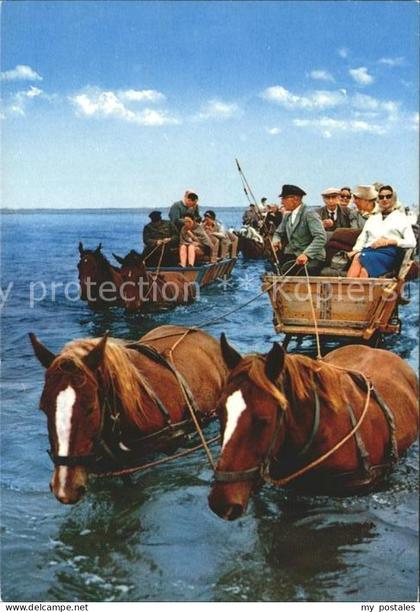 Halligen Nordsee Wattwagen bei aufkommender Flut