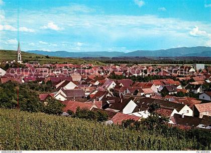 Ihringen Panorama