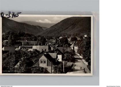 50290281 - Ilsenburg