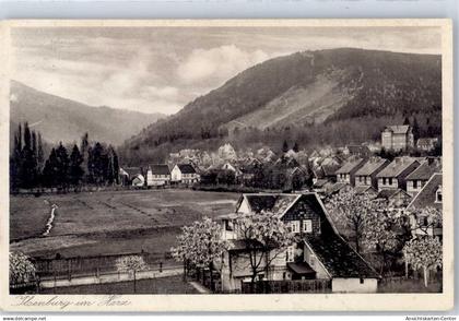 51484904 - Ilsenburg