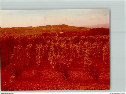 40094440 - Ingelheim am Rhein