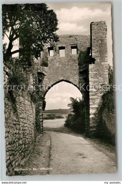 Ingelheim Rhein Uffhubtor Ruine