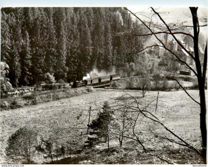Schmalspurbahn Wolkenstein - Jöhstadt