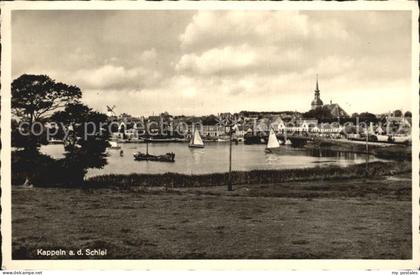 Kappeln Schlei Panorama