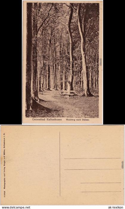 Ansichtskarte Kellenhusen (Ostsee) Waldweg nach Dame 1916