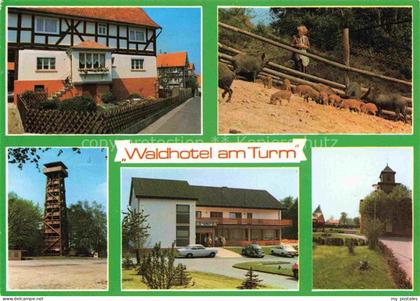Burgholz Kirchhain Waldhotel am Turm Aussichtsturm Wildschweingehege