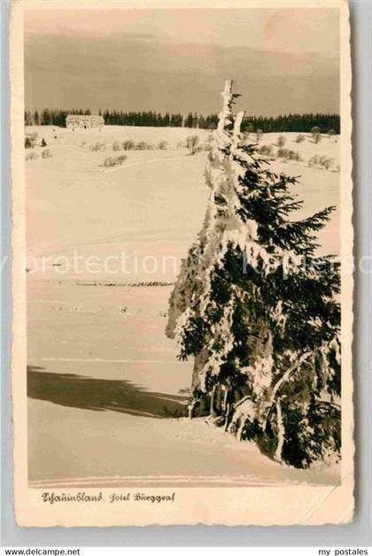 Kirchzarten Hotel Burggraf