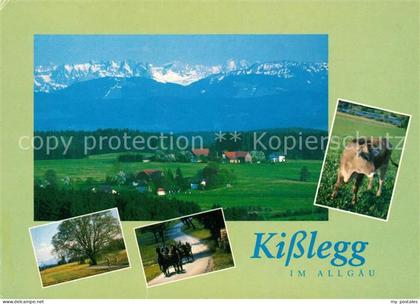 Kisslegg Landschaftspanorama mit Alpenkette Kutschfahrten Kuh