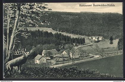 AK Klingenberg / Sachsen, Gasthaus Beerwalder-Mühle, Bes. Hugo Winkler