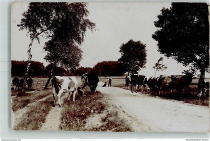 10343625 - Kohren-Sahlis