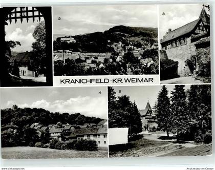 51828567 - Kranichfeld