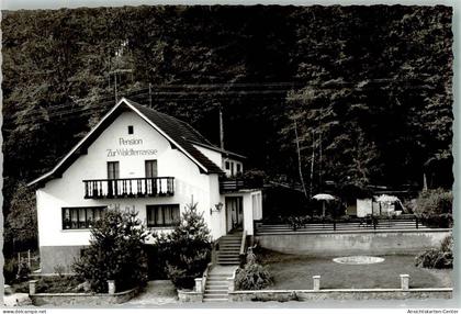 10707544 - Waldhoelzbach