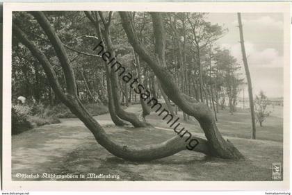 Kühlungsborn - Foto-Ansichtskarte - Verlag Klinke & Co. Berlin