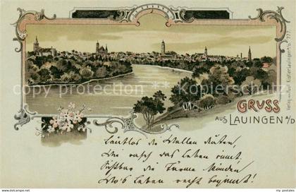 Lauingen Donau Panorama