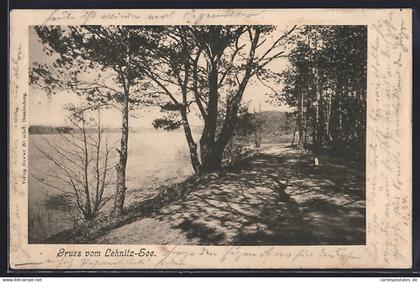 AK Lehnitz, Lehnitz-See, Uferpartie mit Seeblick