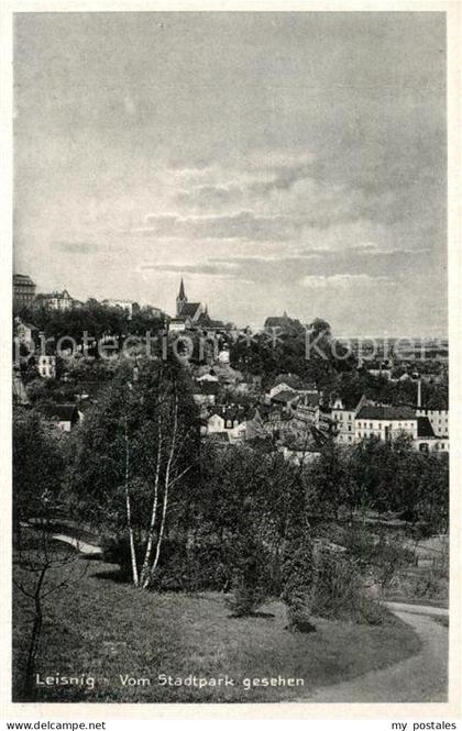 Leisnig Panorama
