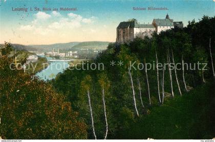 Leisnig Schloss Mildenstein