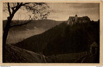 Leutenberg, Die Friedensburg