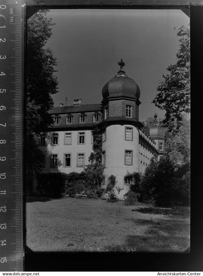 30031198 - Lich , Hess