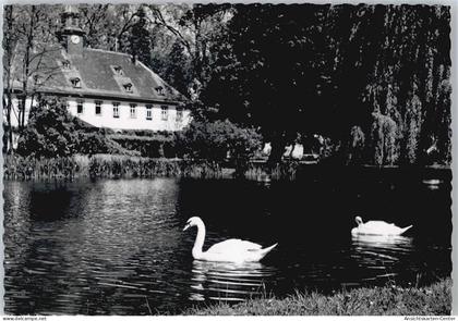 50515319 - Lich , Hess