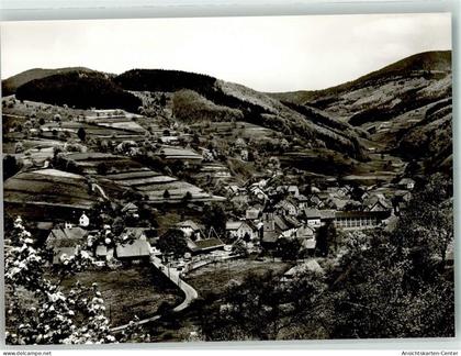 39821146 - Wies , Schwarzw