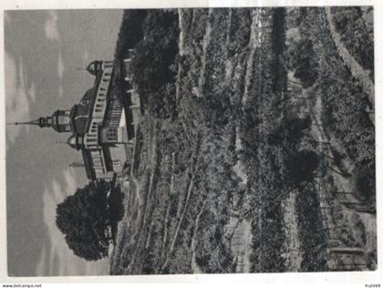 AK 261062 GERMANY -  Im Weinbaugebiet der Lößnitz bei Dresden