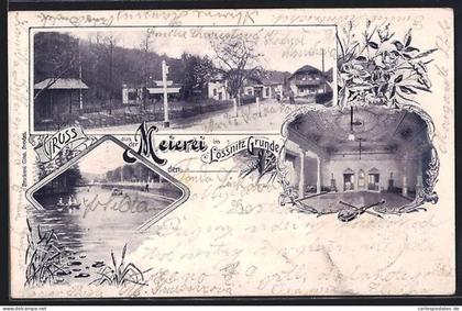 AK Lössnitz-Grund, Meierei, Gebäude, Teich, Saal