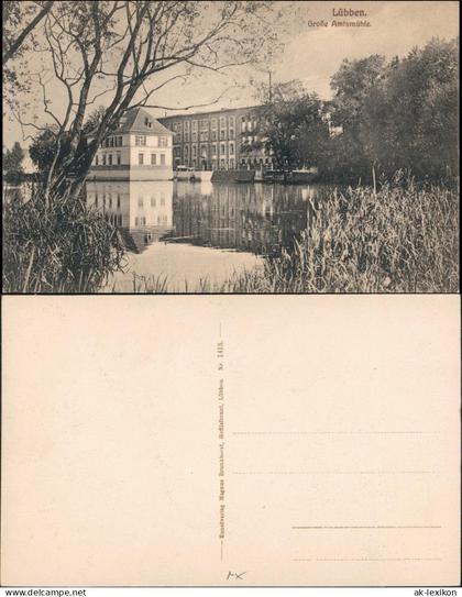 Ansichtskarte Lübben (Spreewald) Lubin (Błota) Große Amtsmühle 1916