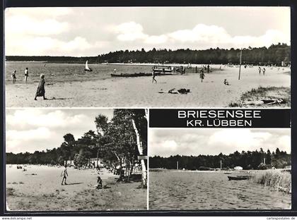 AK Briesensee /Lübben, Strandbad mit Badegästen