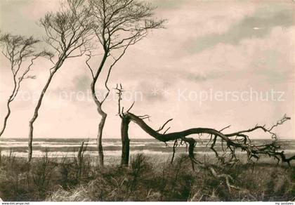 Luebz Strand