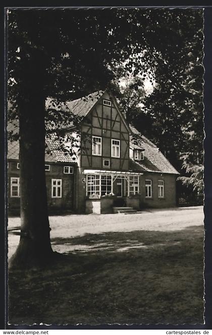 AK Zernien /Lüchow, Pension Hof Spranz H. Jauch