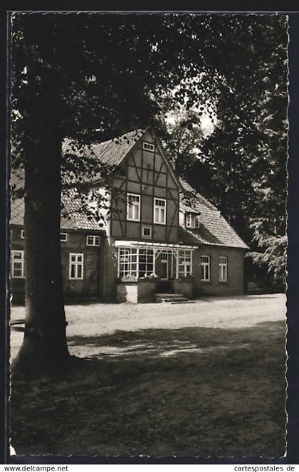 AK Zernien /Lüchow, Pension Hof Spranz H. Jauch, Frontansicht