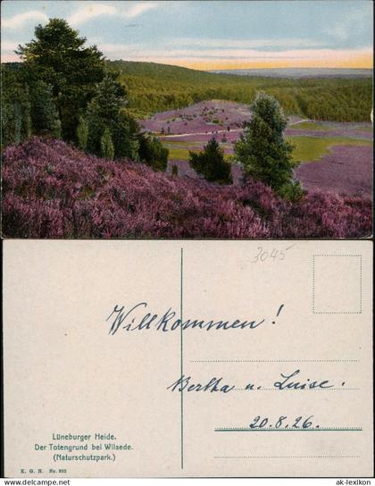 Ansichtskarte  Lüneburger Heide Photochromie Stimmungsbild 1926