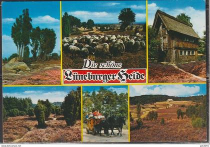Lüneburger Heide - Die schöne Lüneburger Heide - MBK -  nicht gelaufen (AK 6705)