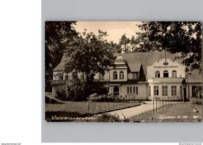 50312624 - Lychen