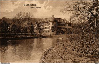 CPA AK wachtersbach Fürstl. Schloss GERMANY (865461)