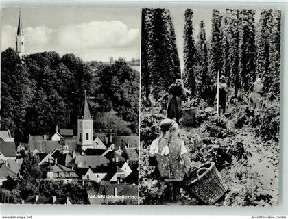 39251536 - Mainburg